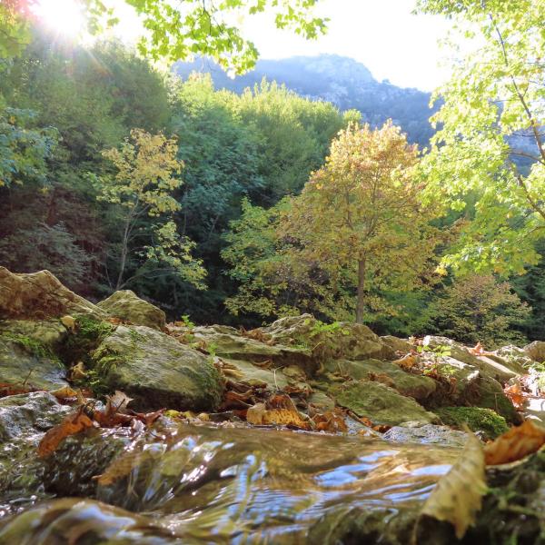 Zompo lo schippo - Donato Di Costanzo